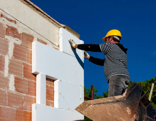 Best Insulation Repair Services  in Oakwood Hls, IL