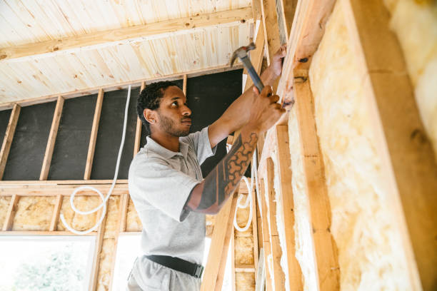 Best Residential Insulation Services  in Oakwood Hls, IL