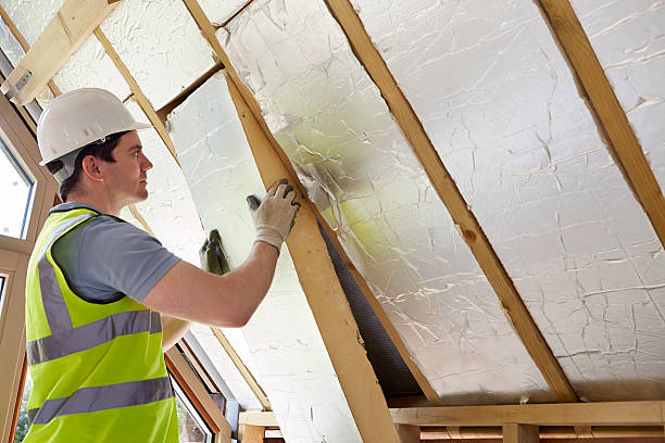 Best Crawl Space Insulation  in Oakwood Hls, IL